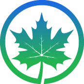 Spruce Tree Removal Pros