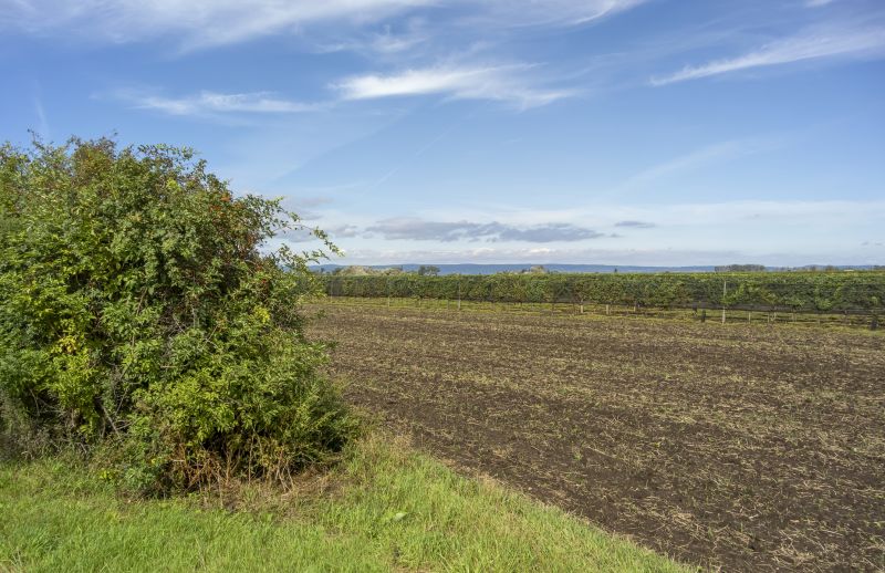 Acreage Clearing in Cumming, GA