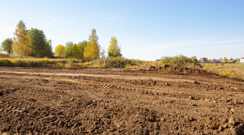 Easement Land Clearing in Gwinnett County, GA