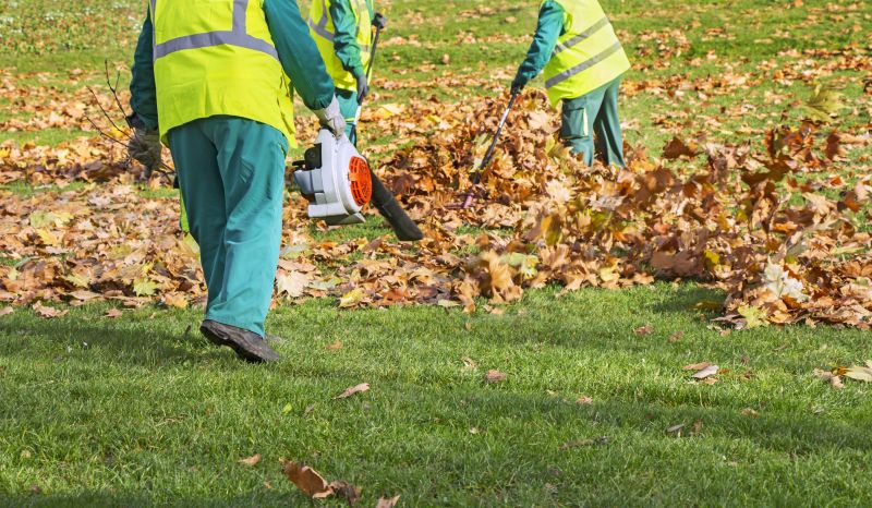 Leaf Blowing Techniques
