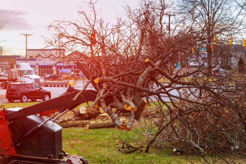 Site Cleaning in Salt Lake City, UT